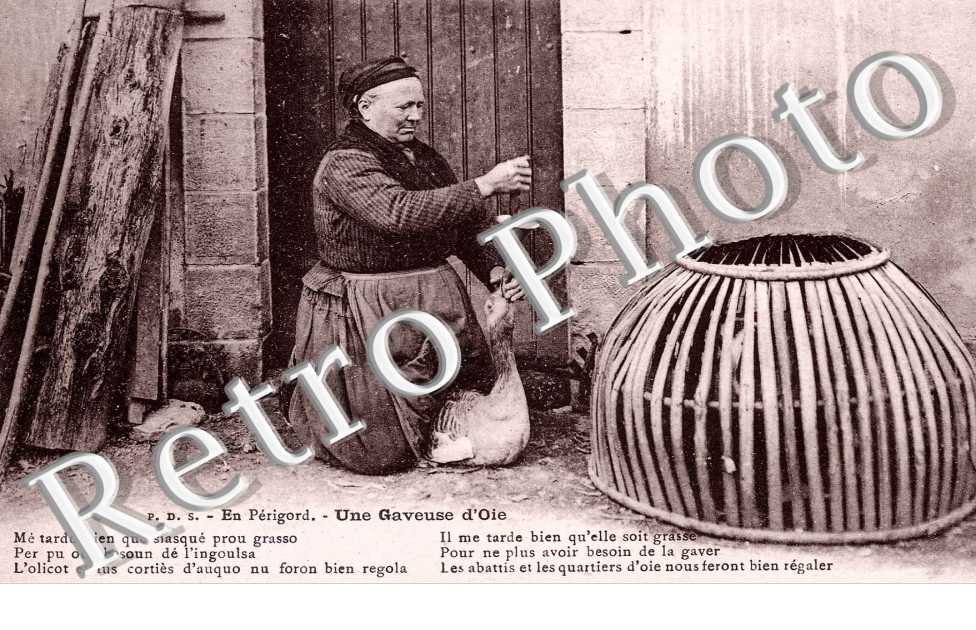 Une gaveuse d'oie