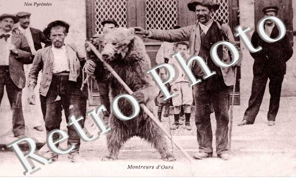 montreurs d'ours