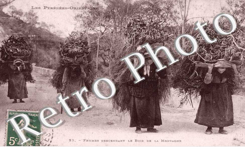 femmes descendant le bois de la montagne