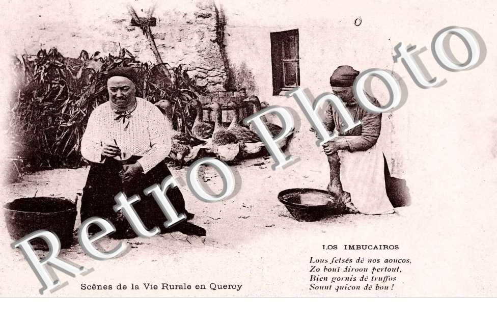 Los Imbucairos Gavage d'oies