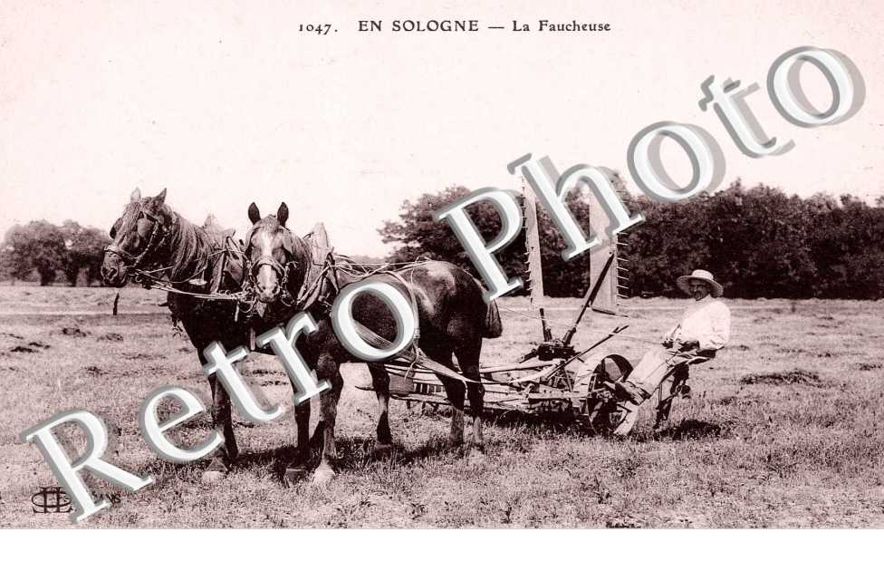 la faucheuse