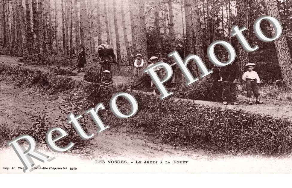 Le Jeudi a la Foret