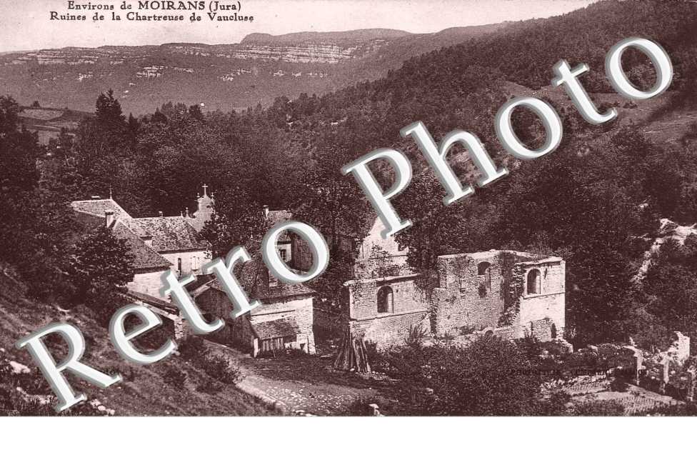 Ruines de la Chartreuse de Vaucluse