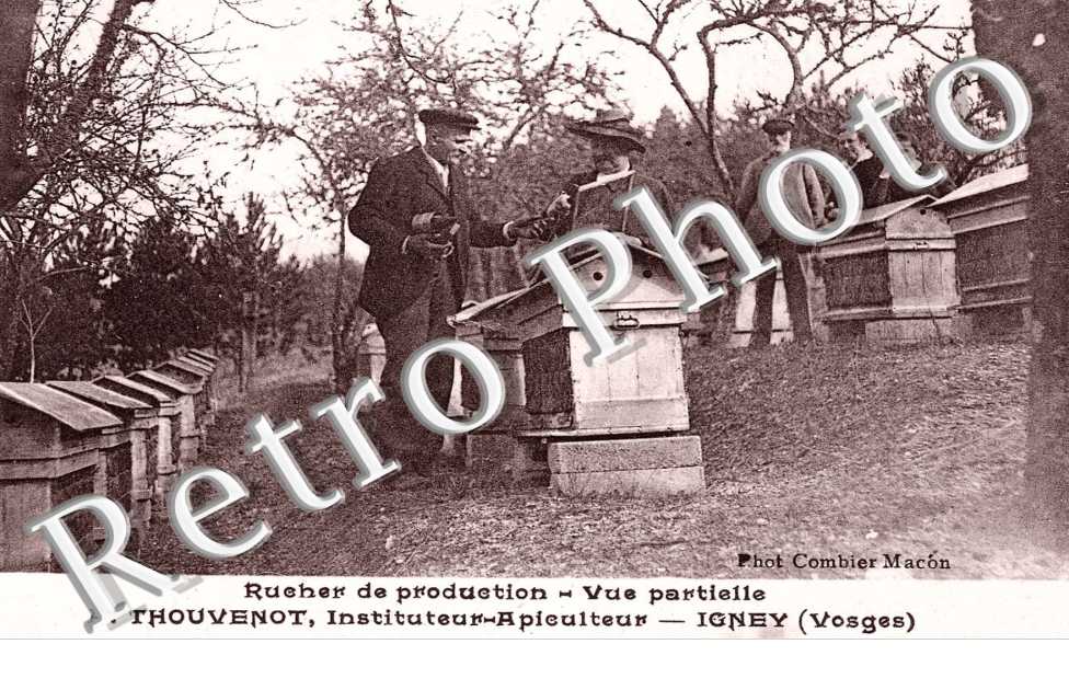 Rucher de production - A. Thouvenon instituteur-apiculteur