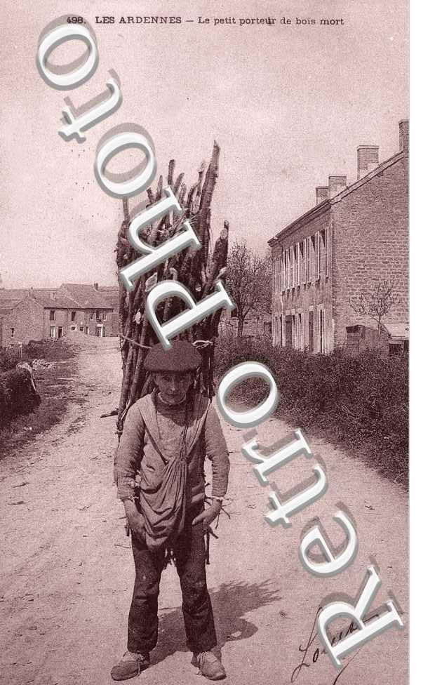 Le petit porteur de bois mort