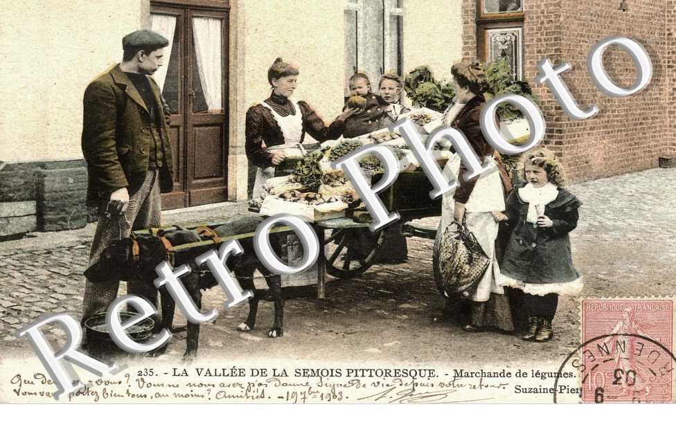 ATTELAGE DE CHIENS