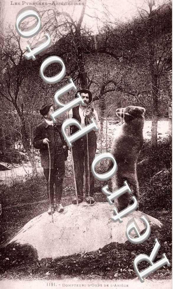 dompteur d'ours