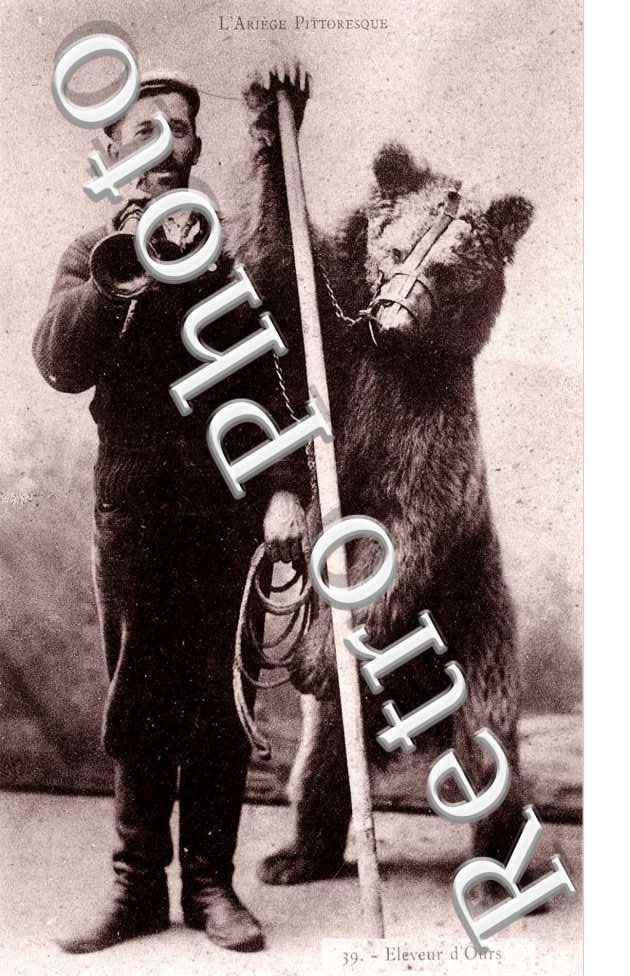 eleveur  d'ours