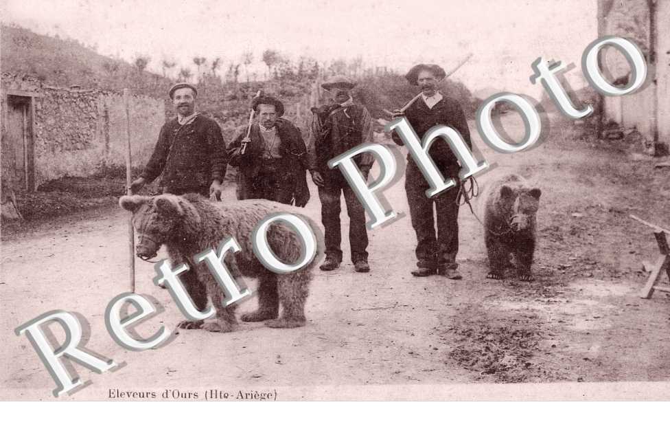 eleveurs d'ours
