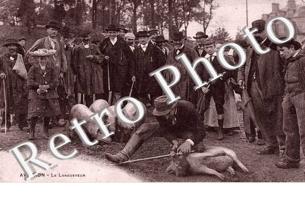 Le Langueyeur