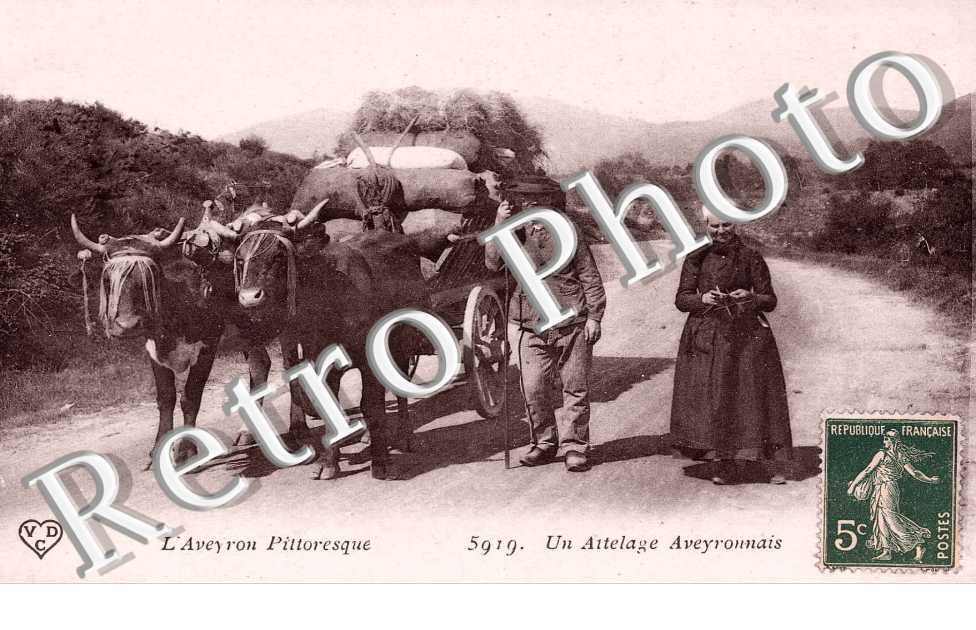 Attelage aveyronnais