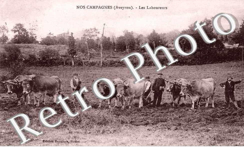Les laboureurs
