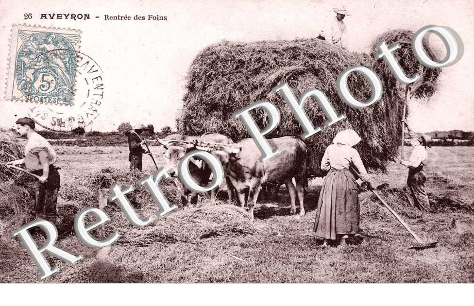 Rentree des foins