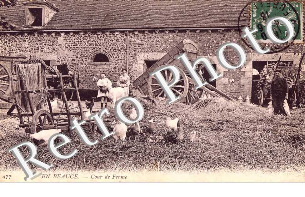 Cour de ferme
