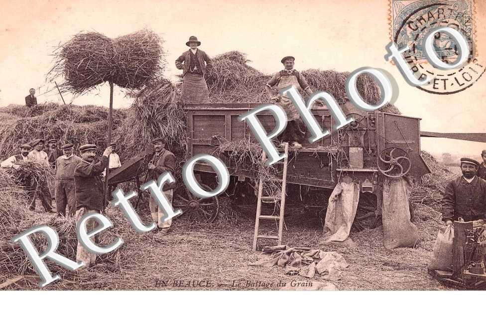 Le battage du Grain