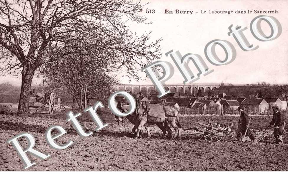 Le Labourage dans le Sancerrois