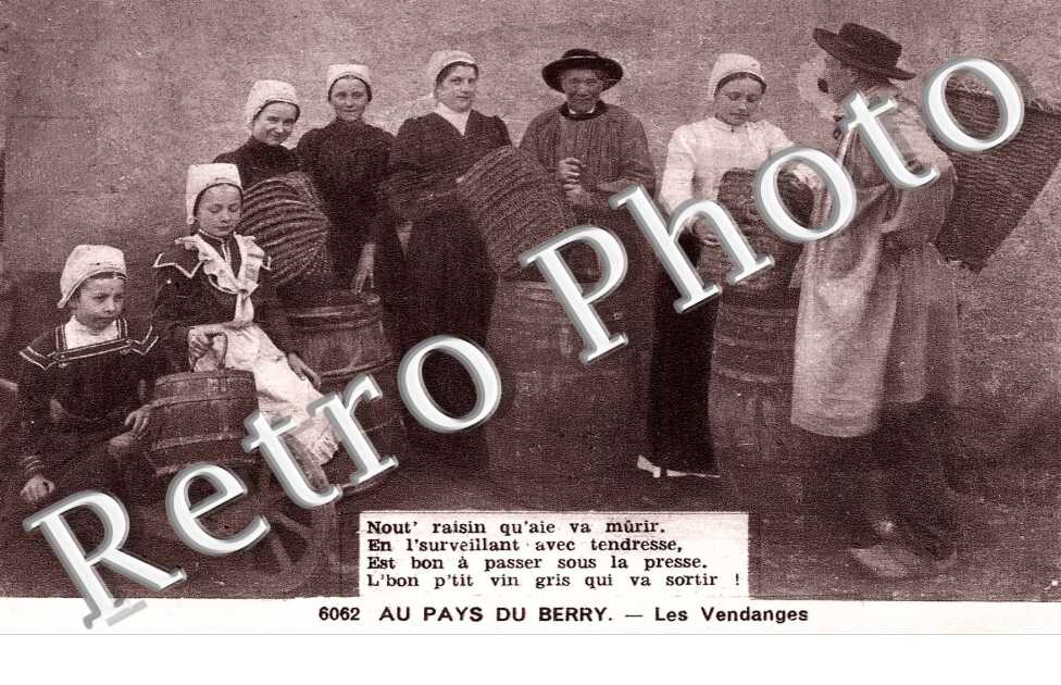 Les vendanges