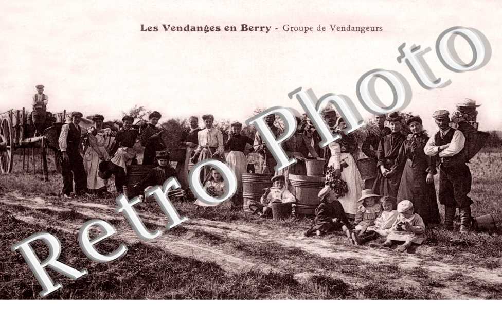 Vendanges - groupe de vendangeurs
