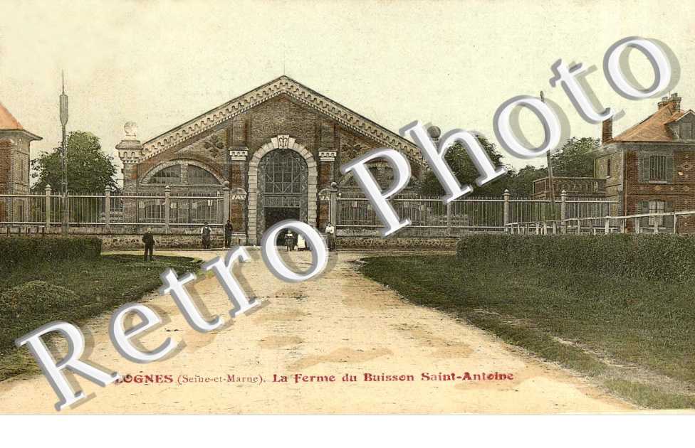 LA FERME DU BUISSON SAINT ANTOINE