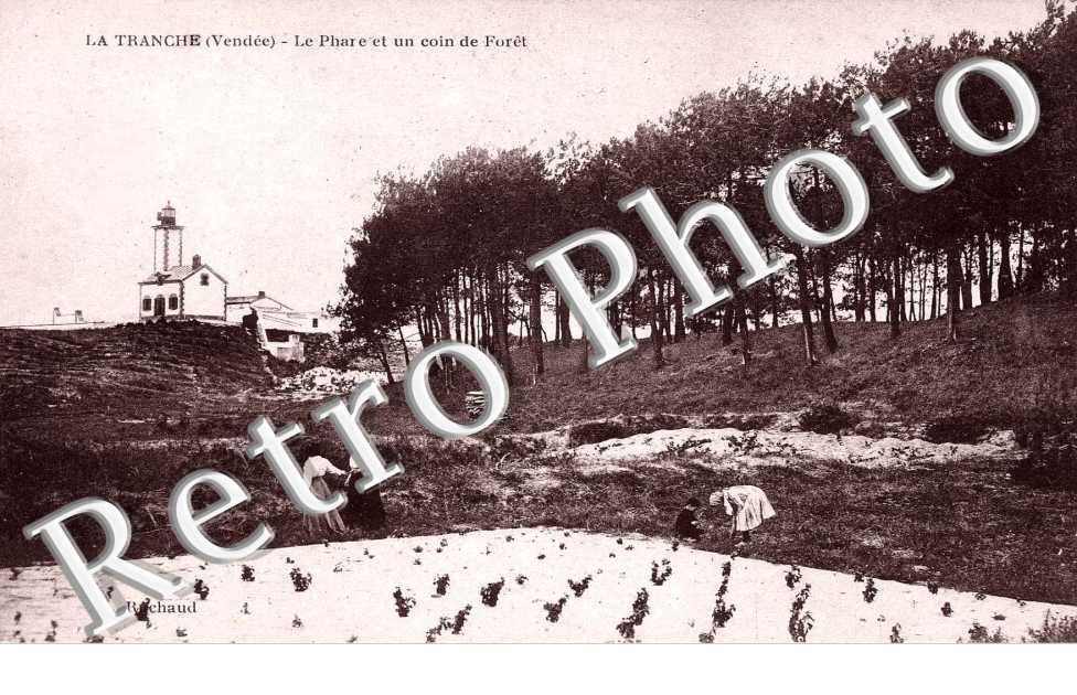 Le Phare et un coin de Foret