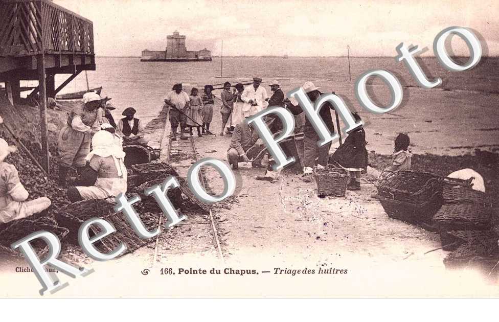 pointe de Chapus, triage des huitres
