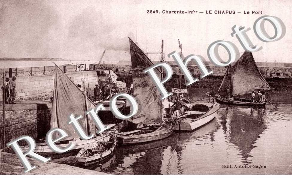 Le Chapus, le port