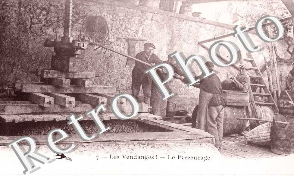 Les Vendanges, le Pressurage