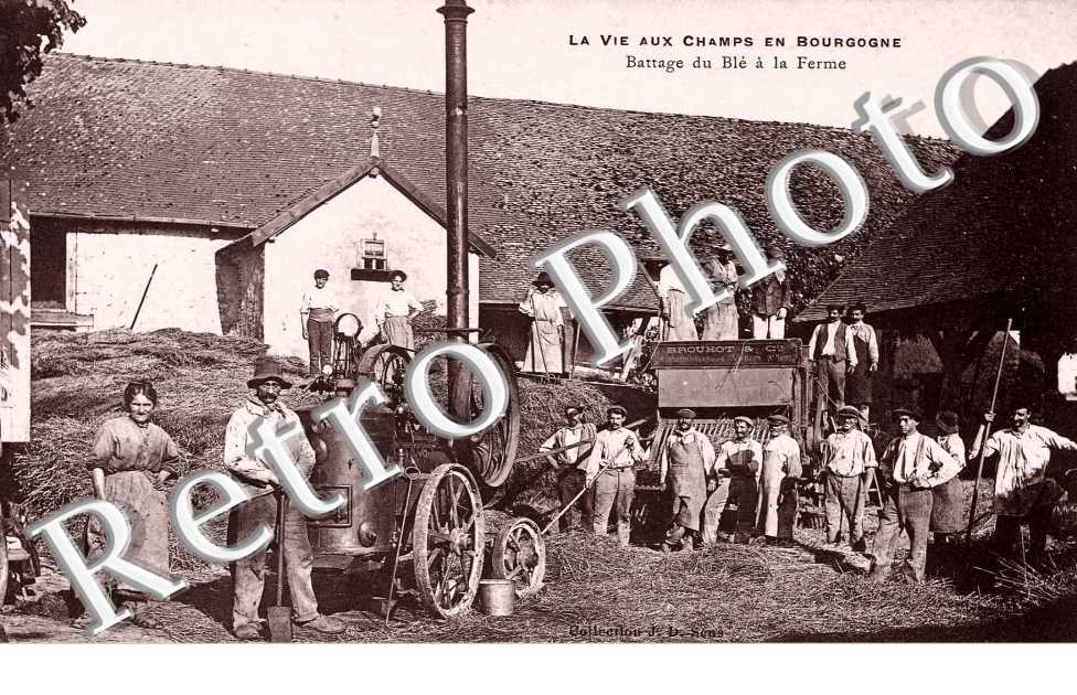 Battage du Ble a la Ferme
