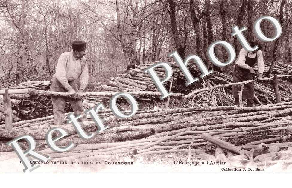 l'Exploitation des Bois - l'Ecorçage à l'Atelier