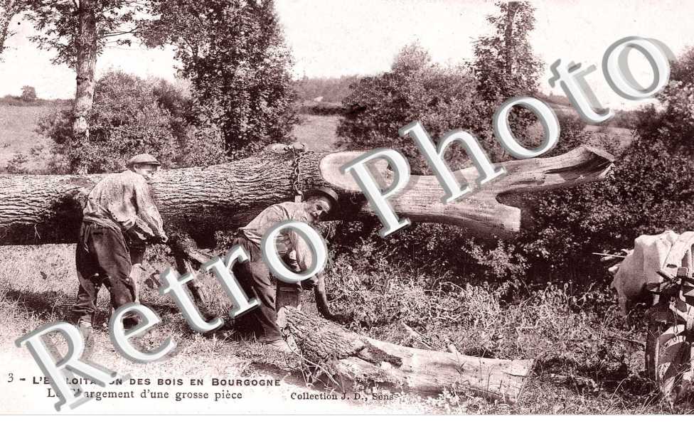 L'Exploitation des Bois, Chargement d'une grosse piece