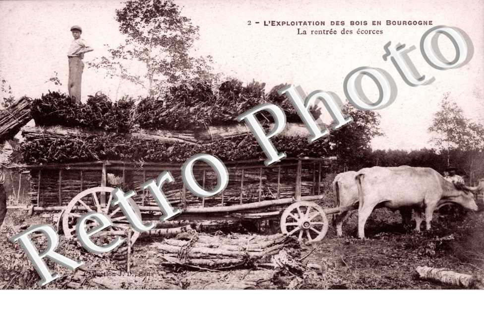 L'Exploitation des Bois, Rentree des ecorces