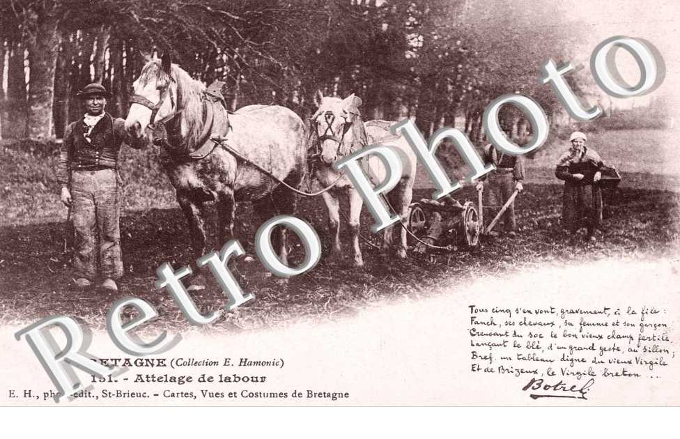 Attelage de Labour