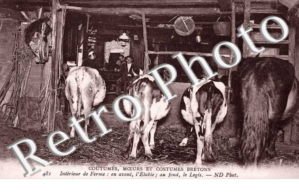 Intérieur de Ferme - En avant l'Etable, au fond le Logis