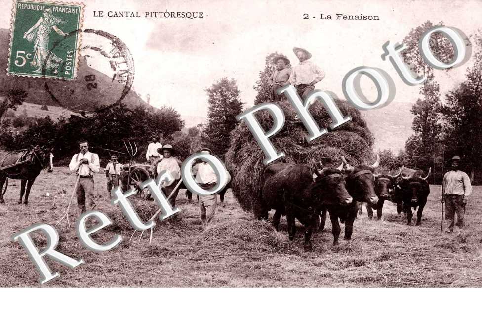 La Fenaison