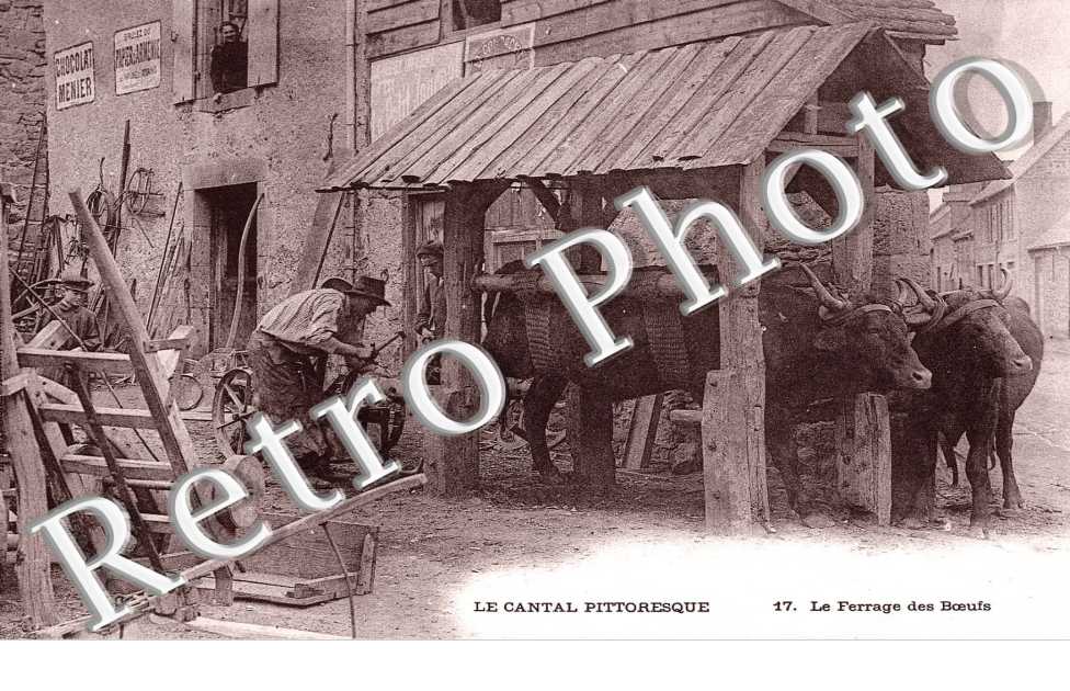 le Ferrage des Boeufs