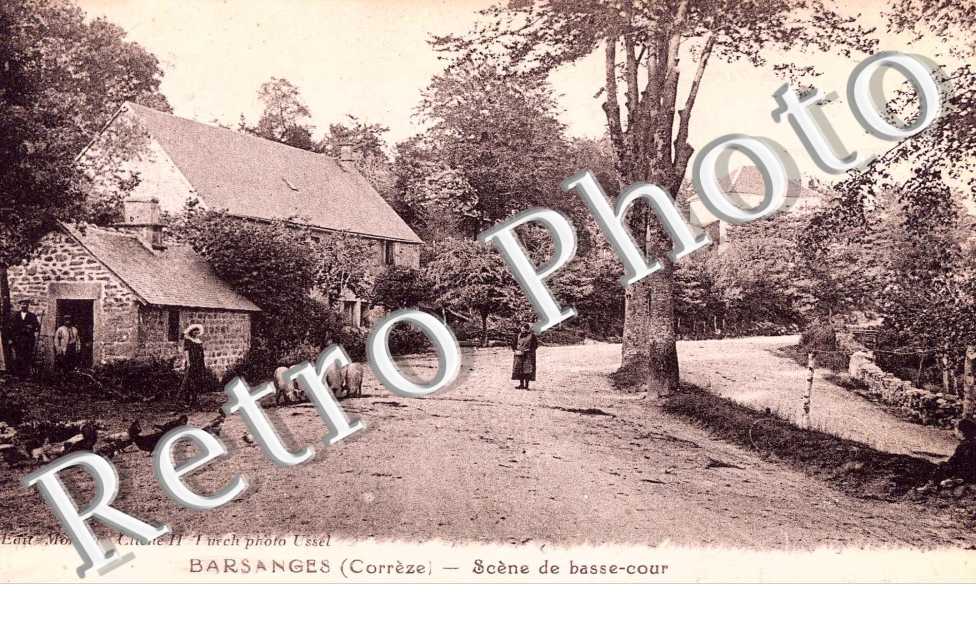 Barsanges - scène de basse-cour