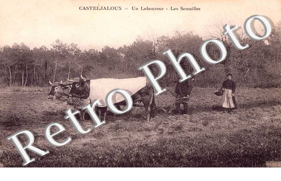 Un Laboureur - Les semailles