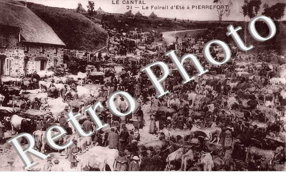 Le foirail d'ete