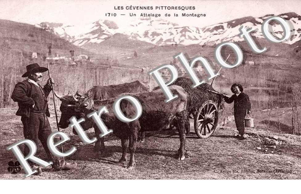un attelage de la Montagne