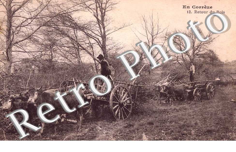 retour du bois