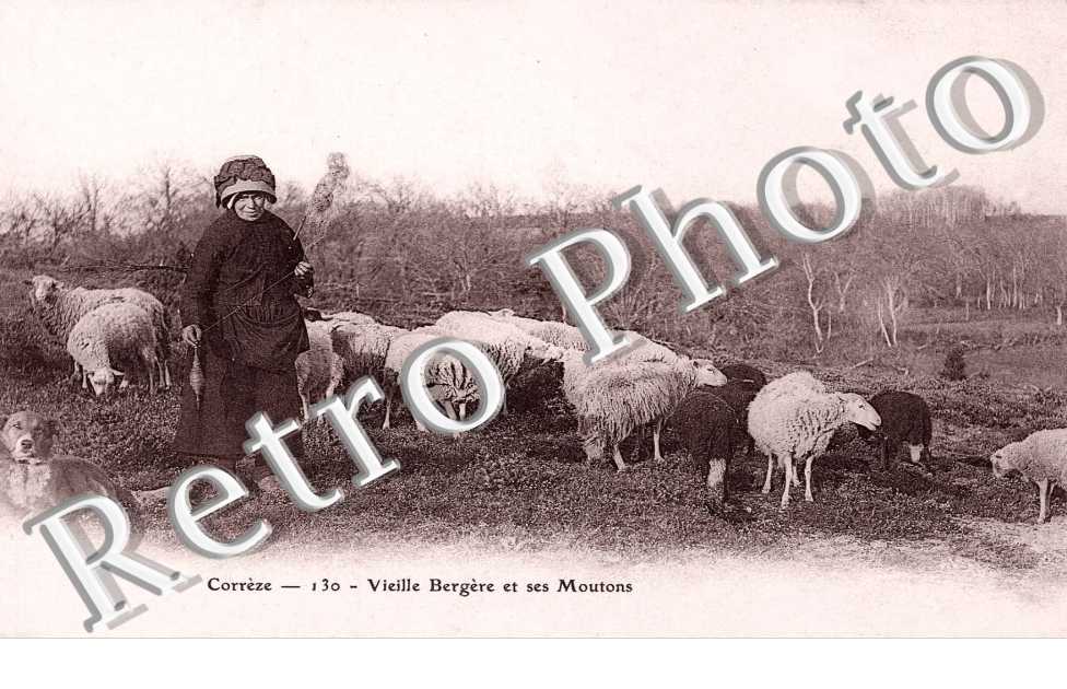 vieille bergere et ses moutons