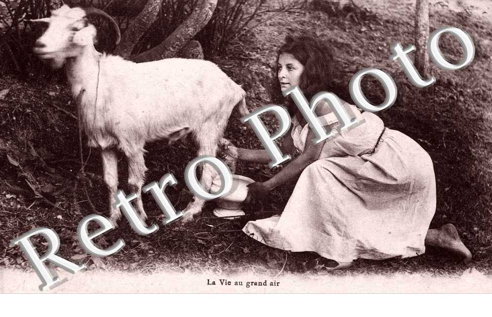 La vie au grand air