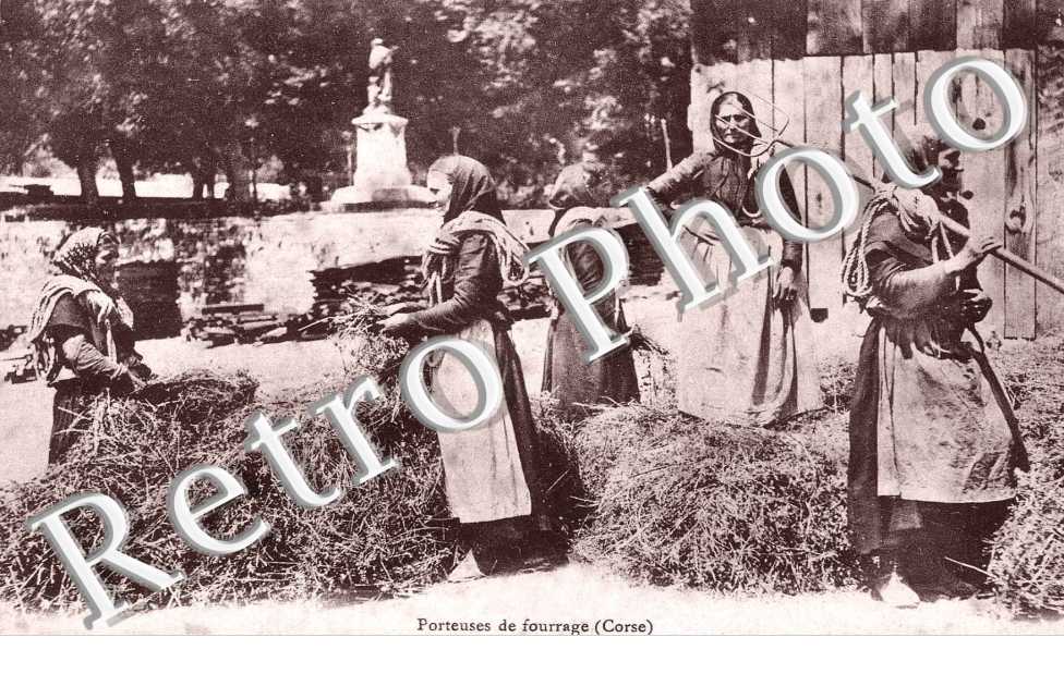 Porteuses de fourrage