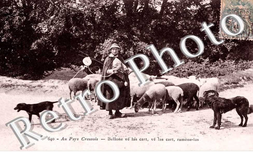 Au pays creusois Bergere et ses moutons