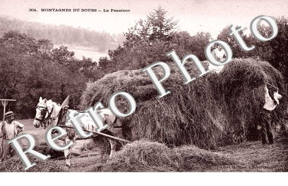 La Fenaison