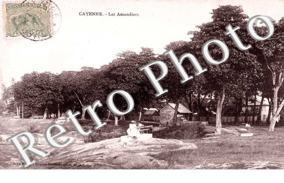 LES AMANDIERS