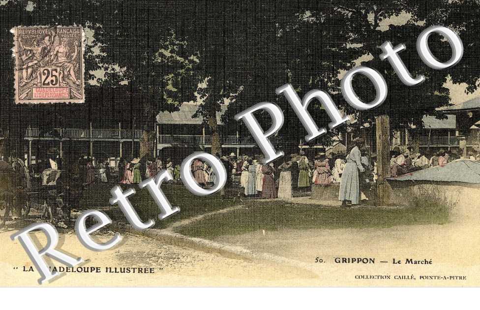 GRIPPON LE MARCHE