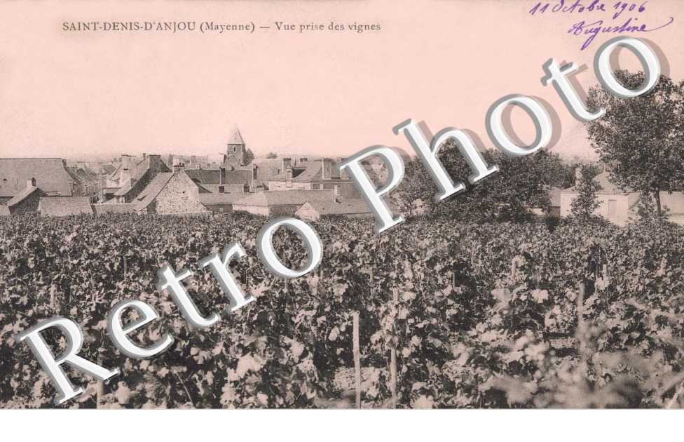 VUE PRISE DES VIGNES