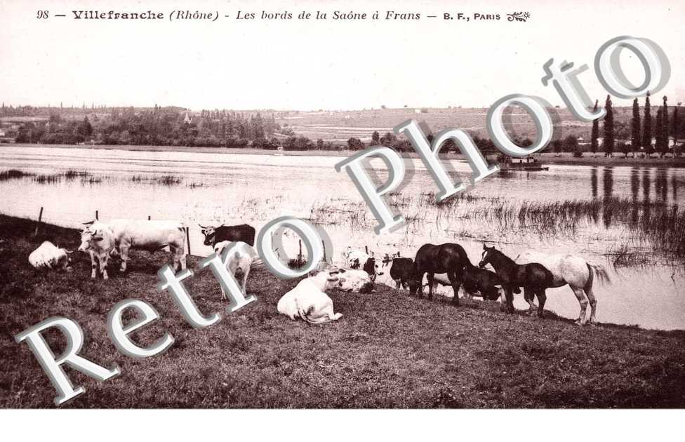 Bords de la Saone