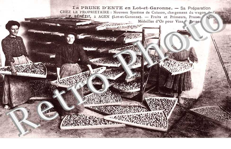 LA PRUNE D'ENTE sa preparation